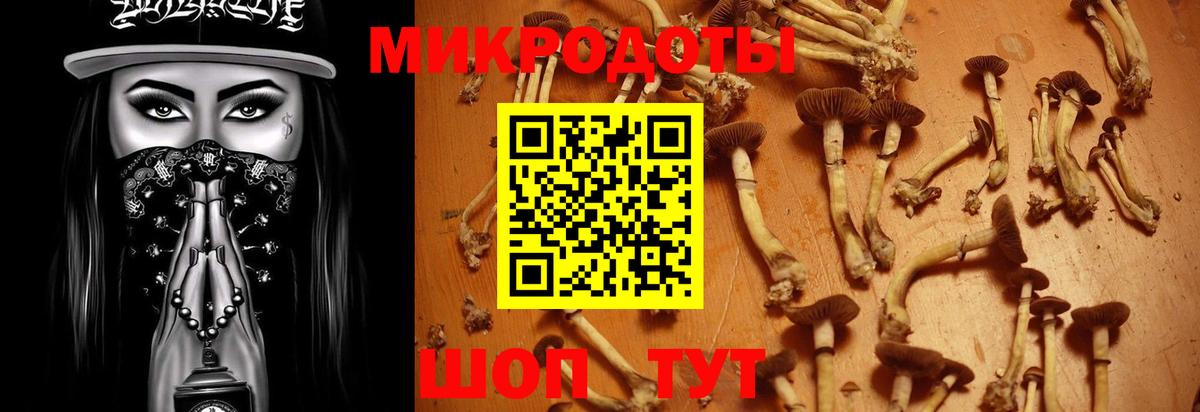 Псилоцибиновые грибы Cubensis Кольчугино