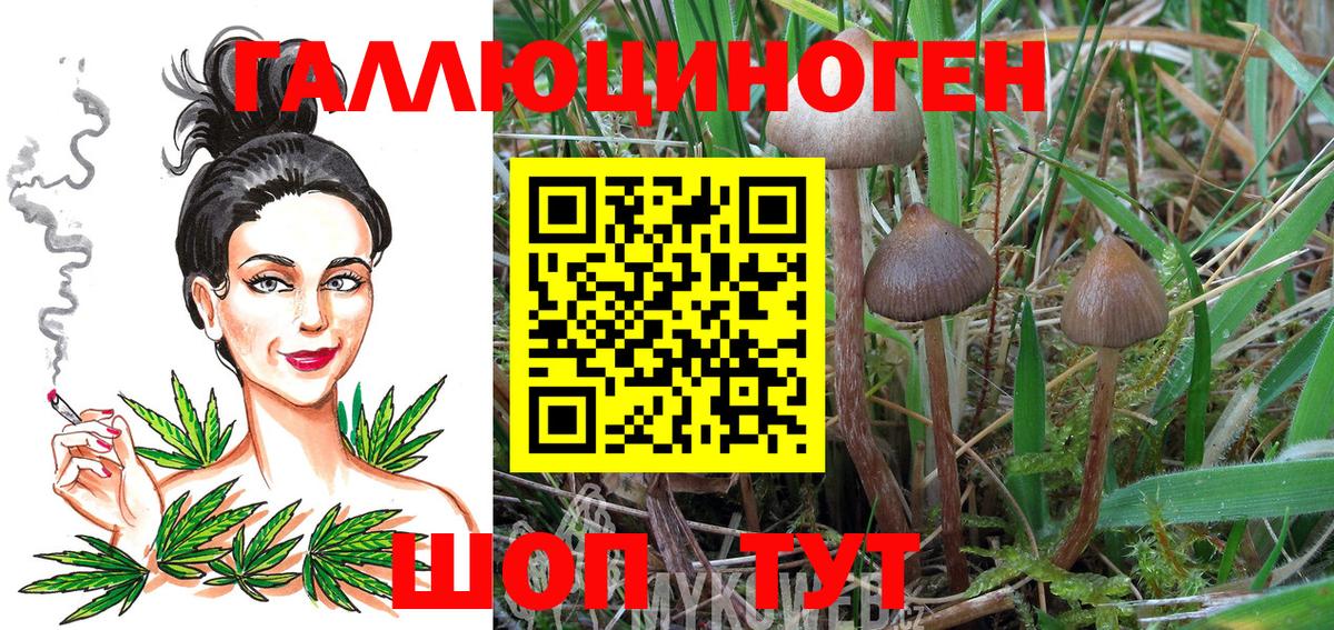 Псилоцибиновые грибы Psilocybe  Псилоцибиновые грибы Psilocybine cubensis  Кольчугино  Вход с VPN 